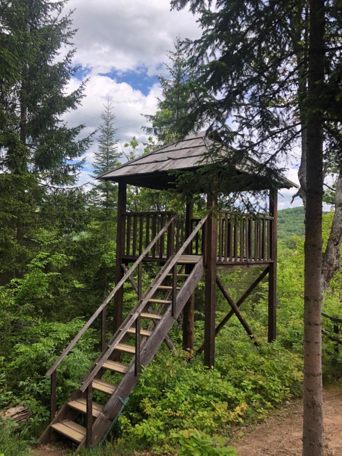 Tatil Evi Etno Kuca Milidrag *